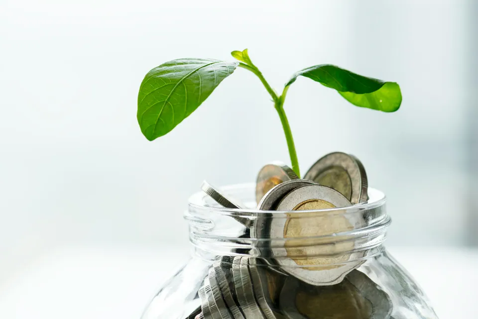 Green seedling growing from a glass jar filled with coins