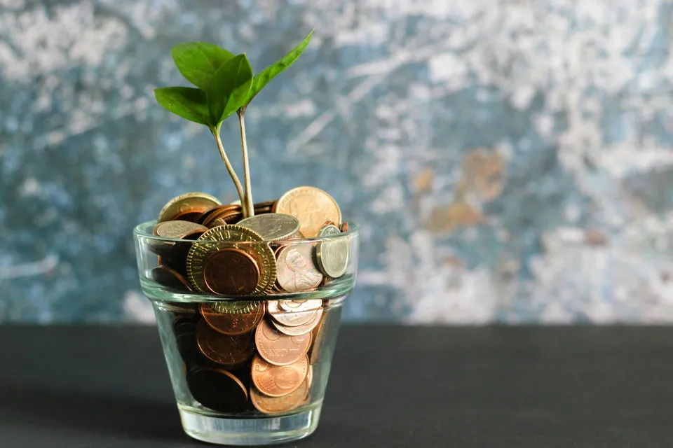 Small plant sprouting from a glass full of coins