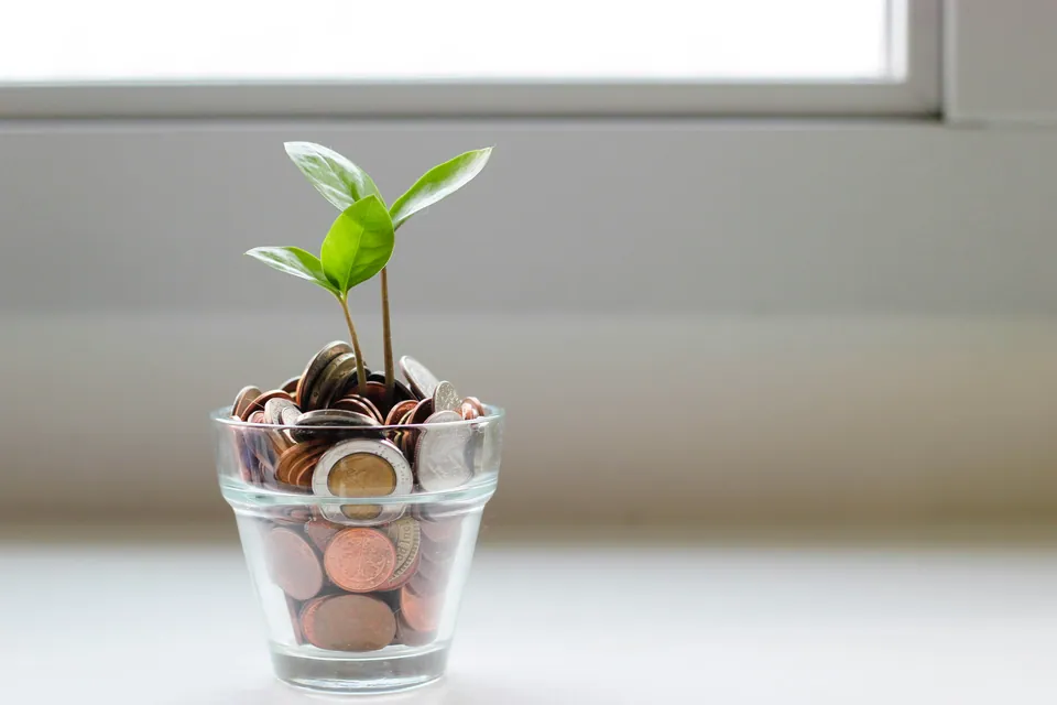 Seedling growing from a glass of coins on a windowsill