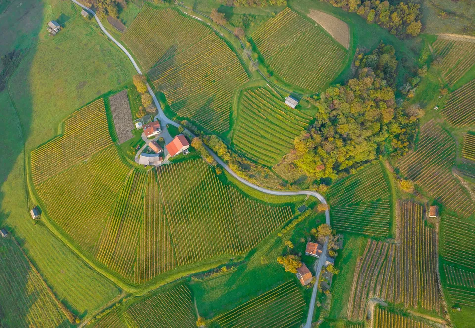 Aerial view of vineyards and farmhouses across green hills