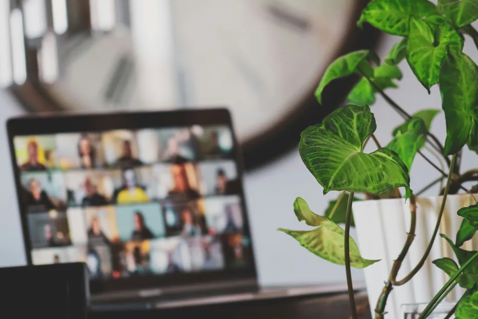 Laptop showing a video call grid beside a potted plant