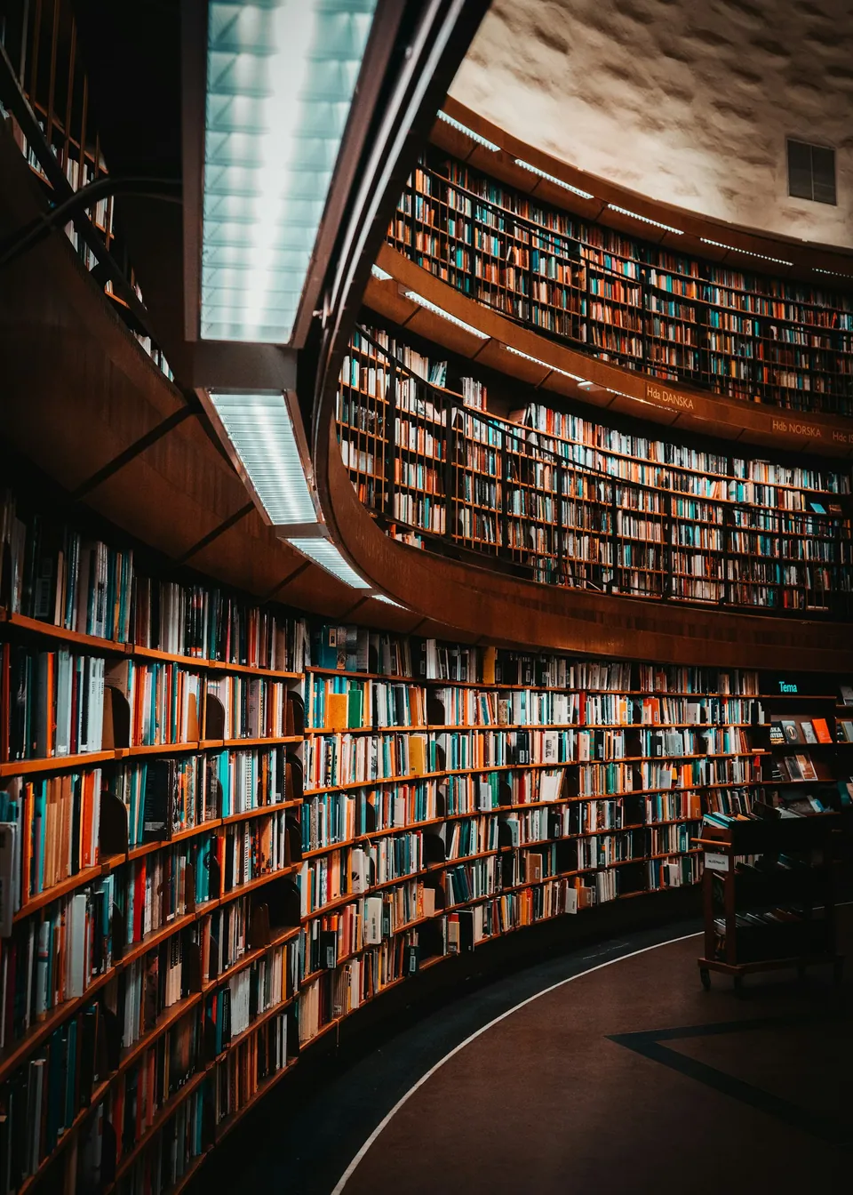 Curved wall of bookshelves in a circular library