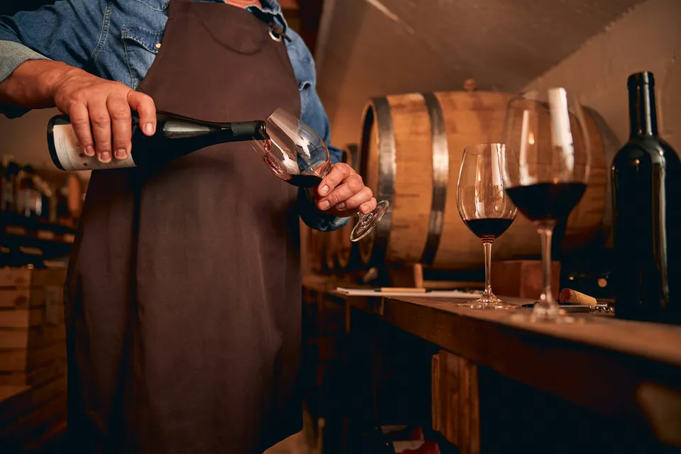 Sommelier pouring red wine in a cellar with oak barrels