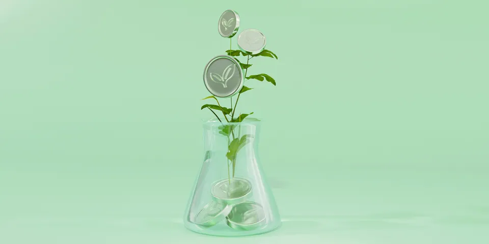 Plant with coin leaves growing from a glass flask on green