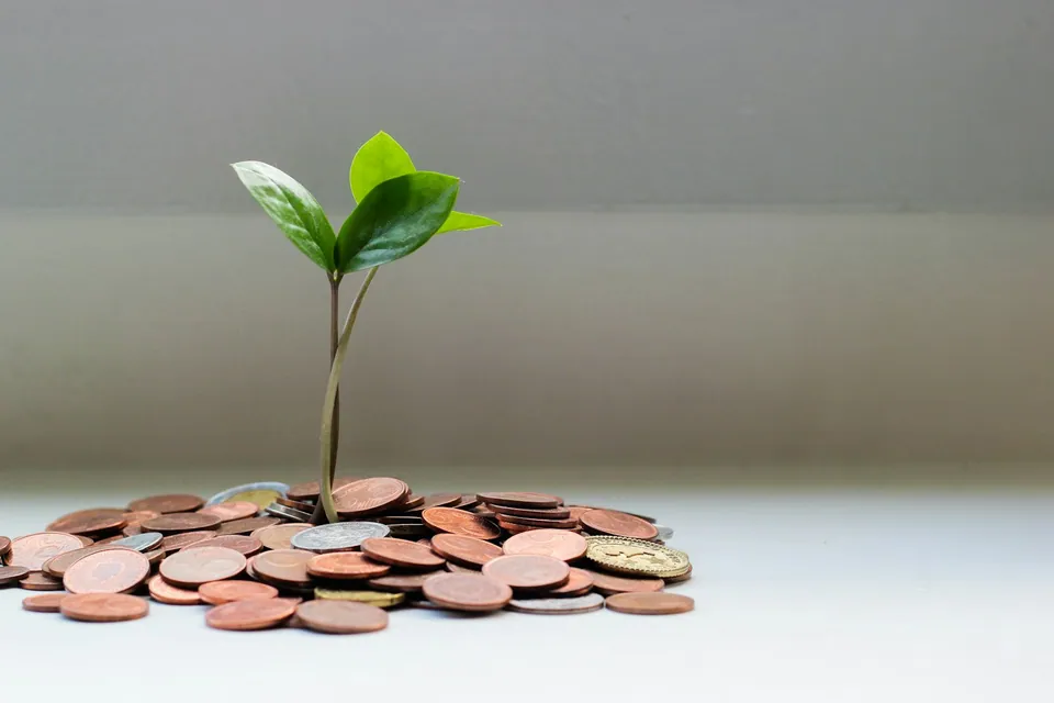 Green seedling sprouting from a pile of coins